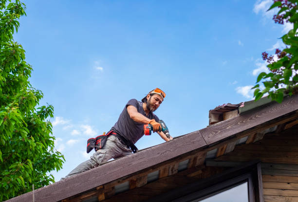 Best Roof Maintenance and Cleaning  in Paradise, NV